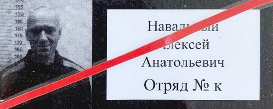 Политическое давление перед акцией в поддержку Алексея Навального 21 апреля. Хроника