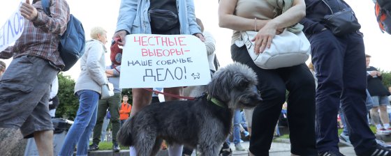 Единый день голосования 2022 года. Хроника предвыборного давления