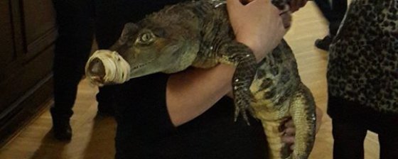 Превышение на Поляне