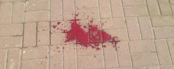 Совместное заявление в связи с преступлениями в отношении наблюдателей на выборах