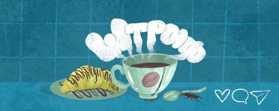 “Life feels surreal these days.” A woman fined for a cafe argument about Ukraine