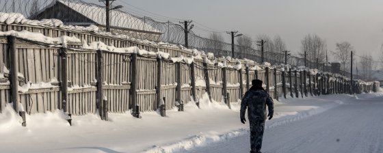 Хроника политических преследований в январе 2022 года: главное