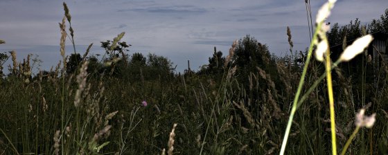 За Резинотехникой в Очапках
