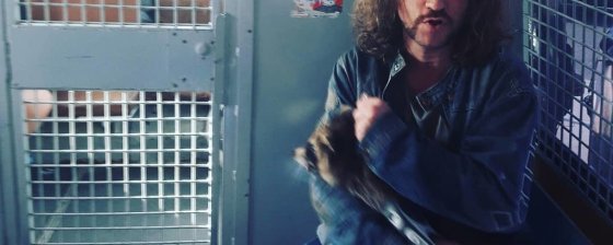 «Свободу енотам!»: рассказ артиста уличного театра о задержании 5 мая