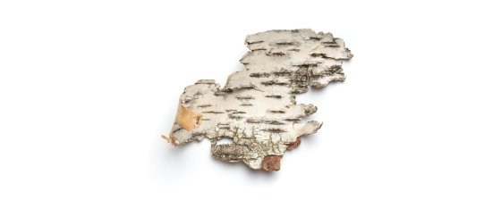 Статью о сепаратизме хотят частично декриминализовать. Но при этом ввести новую