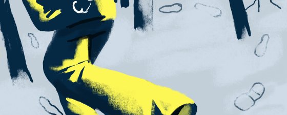 Нестыковки в деле о несостоявшемся поджоге Кремля 5.11.17