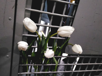      Хроника политических преследований в марте 2022 года: главное
    