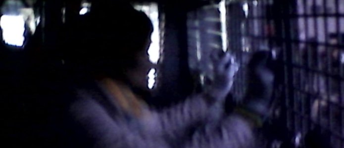 На акции в поддержку Надежды Савченко задержано 39 человек